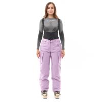 Dragonfly Штаны горнолыжные утепленные Gravity 2025 Woman Purple в Москве